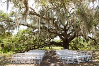 Any Event Linen & Chair Rental - 22