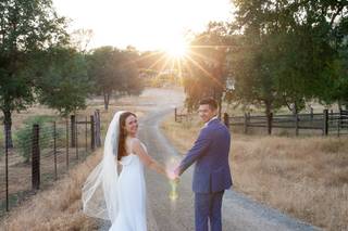 Sunshine Photography - 5