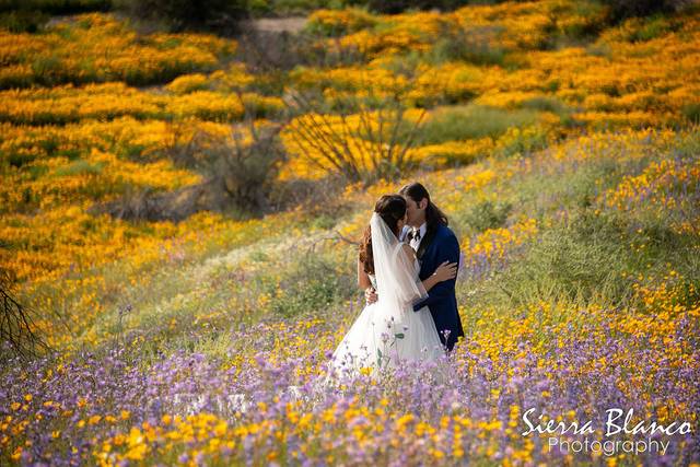 Sierra Blanco Photo - Video 5