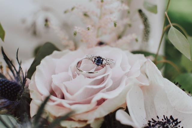 Cassie Newquist Photodesign - 3