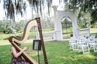 Photo Harp Weddings - 47