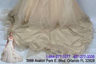 Bridal Gown Preservation - 81