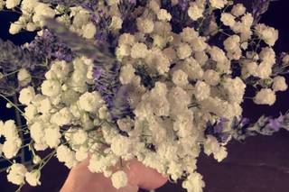 Flower Girlz Inc. - 146