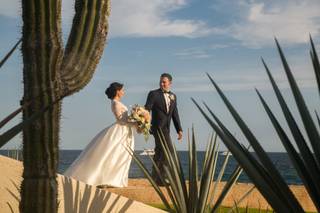 Walsh Wedding Stories - 42