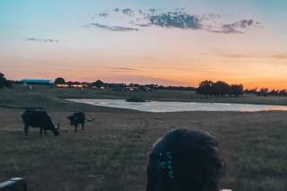 Rockin' Star Ranch - 50