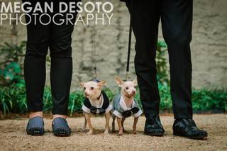 Megan DeSoto Photography - 4