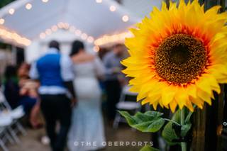 The Oberports - 41