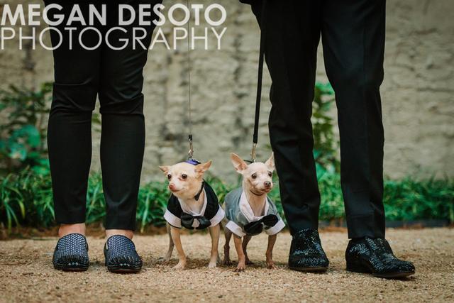 Megan DeSoto Photography - 1
