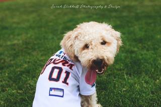 Sarah Ann Photography - 8