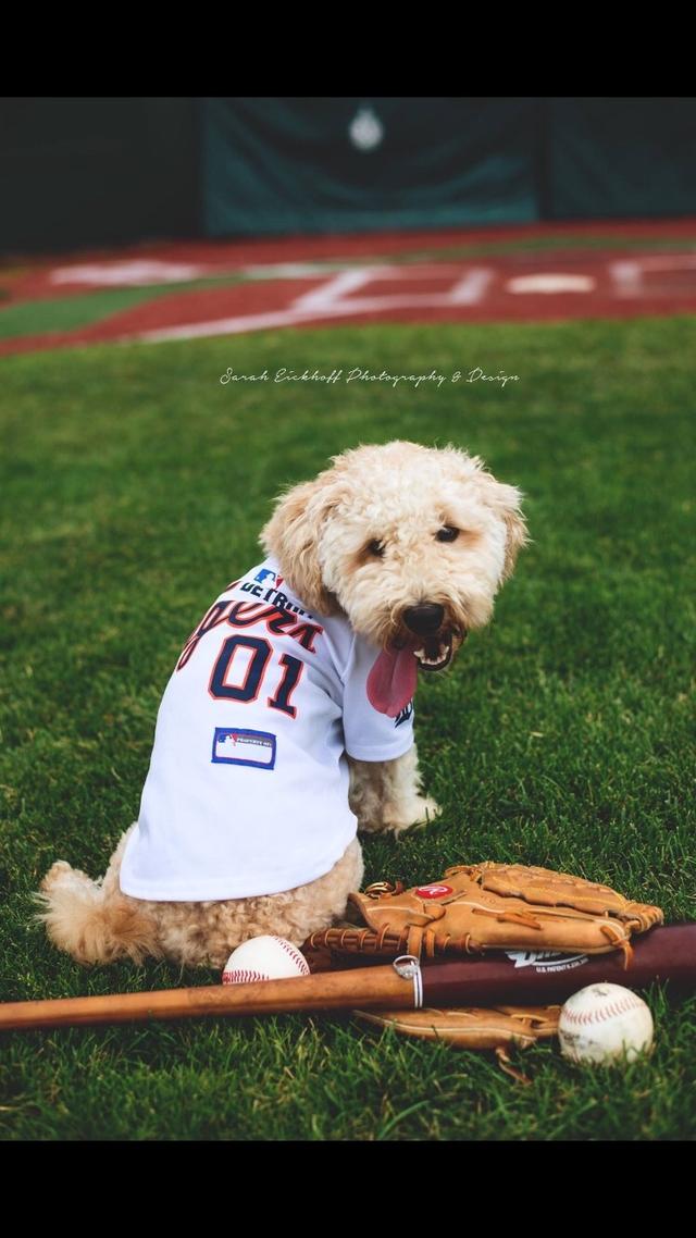 Sarah Ann Photography - 2