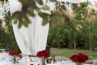 Naples Wedding Catering by Friscos - 14