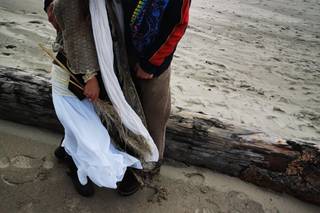 Lincoln City Weddings, LLC - 68