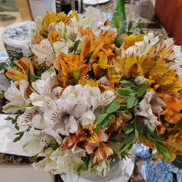 Florería Zazil - 1