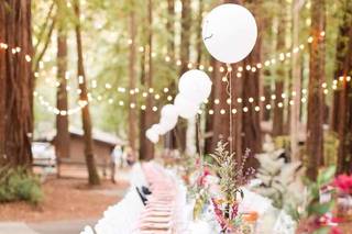 Tiffany Michele Photography - 6