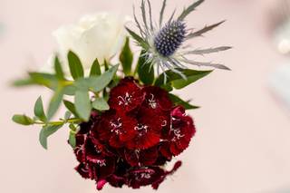 The Garden Studio - 22