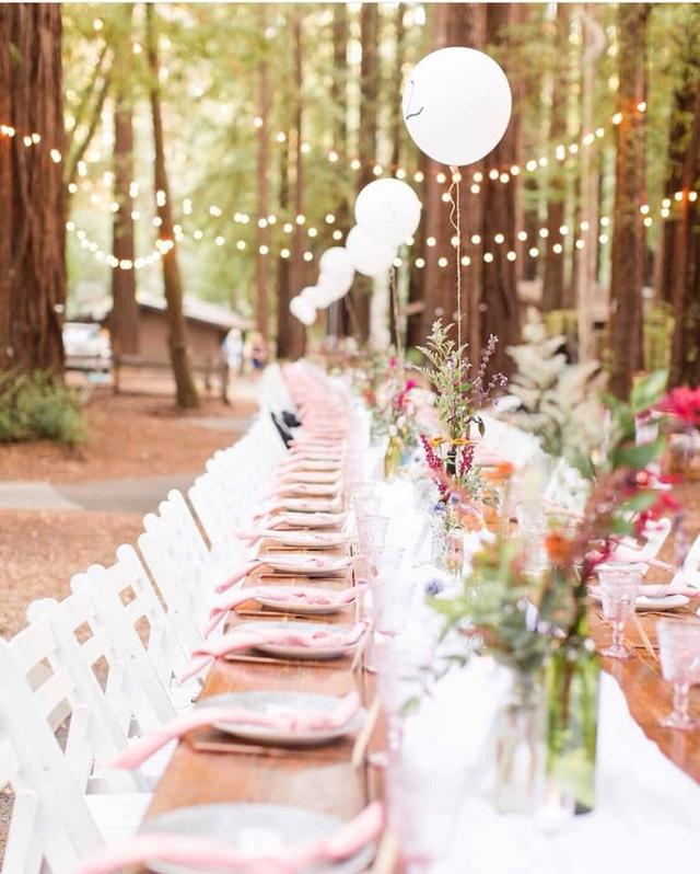 Tiffany Michele Photography - 3