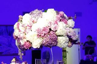 D'Caron Designs - 10