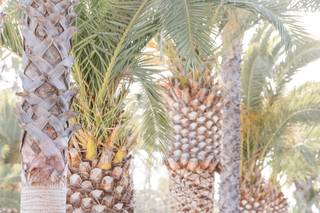 Suzanne Karp Photography - 9