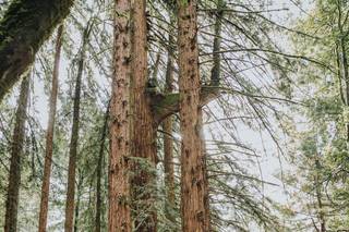 Kassandra Thomsen Photography - 36