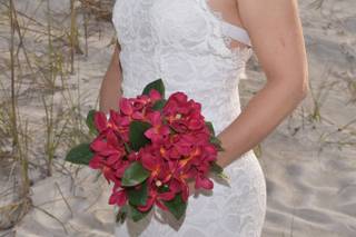 Sally Ullman Photography - 6