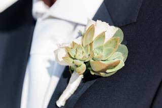 Cotton & Magnolia - 30