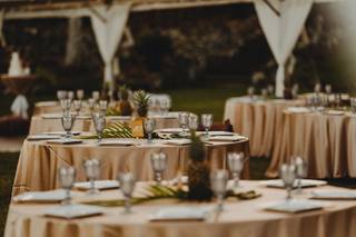 Pacific Party Rentals, LLC. - 13