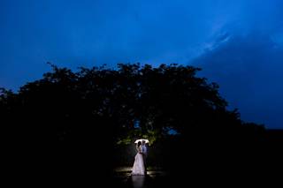 David Perlman Photography - 8