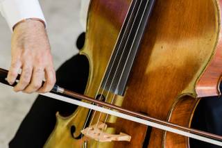Roy Harran Cellist - 14