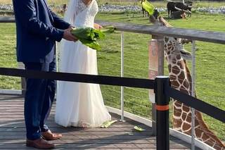 The Toledo Zoo - 41