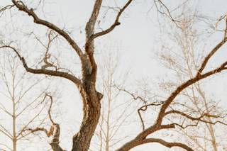 The Orchard at Caney Creek - 28
