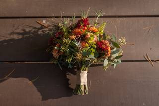 Passalongs Farm - 19