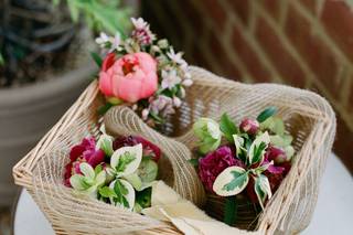 Orpha Events - 6