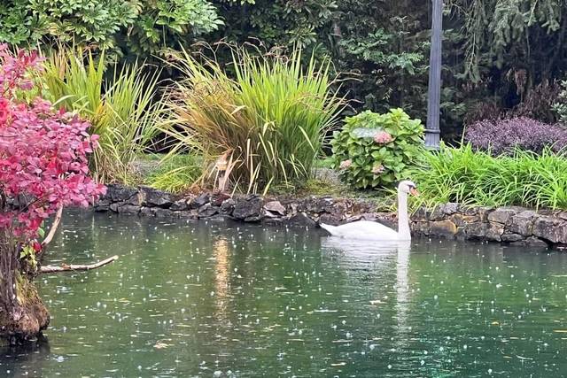 Lakeside Gardens 5