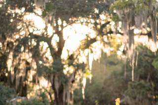 Ryan Smith Photography - 78