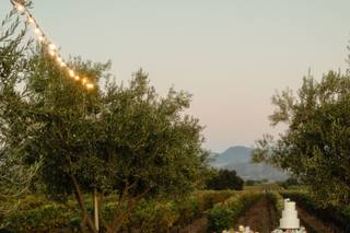 La Fleur Weddings & Events - 23