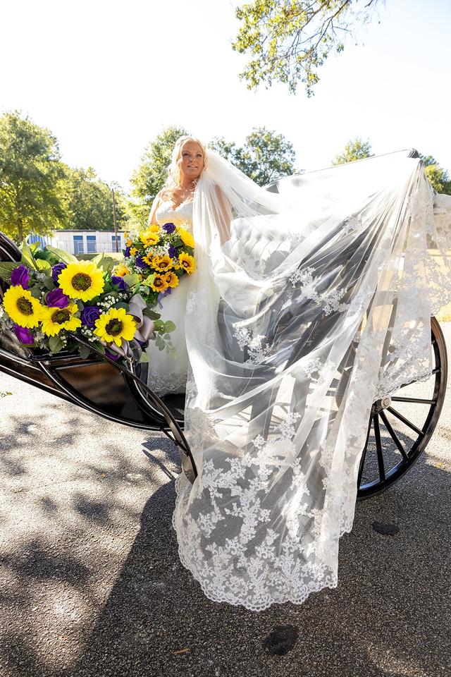 4 Seasons Carriage Company - 2