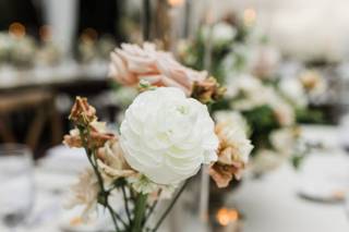 Azalea Films & Photography - 5
