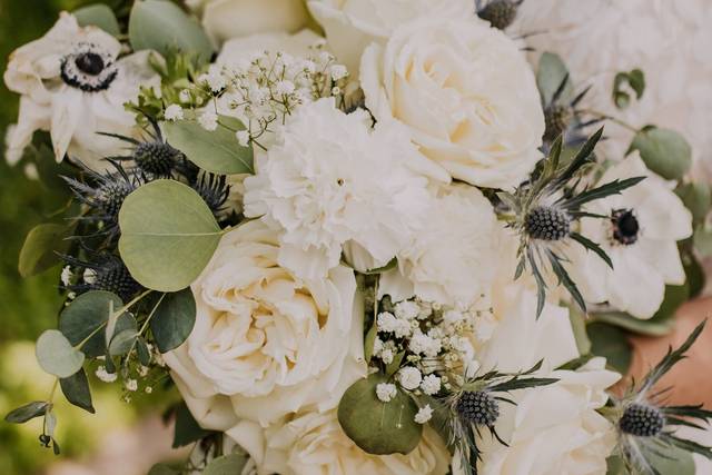 Absolutely Perfect Special Occasions 1