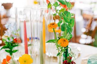 Grey Cardinal Events - 7