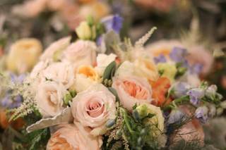 Bella Flora - 6