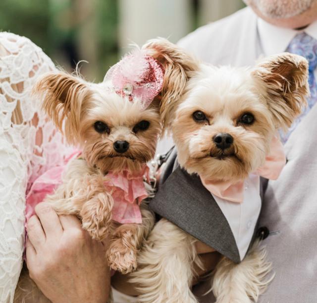 PK Weddings and Events New Orleans - 1