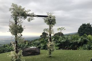Big Island Tents - 22