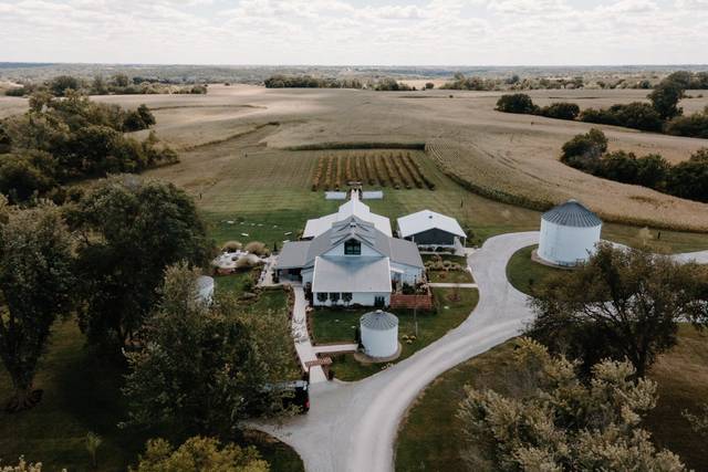 Harpor's Vineyard 1