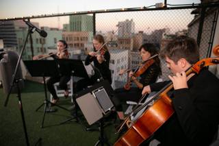 Organic String Quartet - 7
