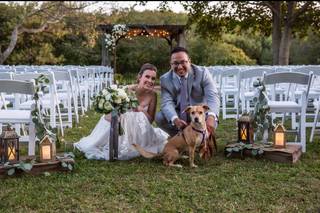 All Occasion Photography - 20