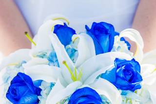 Sweet Lighting Photography - 58