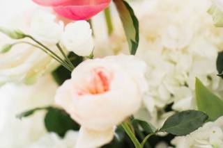 Justin DeMutiis Photography - 50