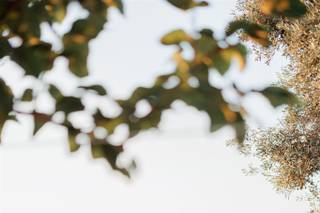 Antonis Kelaidis Photography - 13