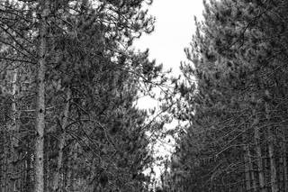 Siri Jones Photography - 9