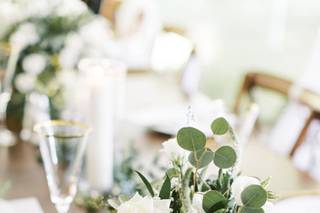 Eden Events - 43